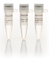 Thermo Scientific ДНКаза свободная от РНКаз (DNase I, RNase-free (1 U/µL), 1000 ед