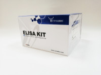 Cusabio ИФА Набор Guinea pig interleukin 4,IL-4 ELISA Kit, 96 тестов