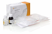 Евроген Набор CleanRNA Standard для очистки РНК на колонках, хранить при комн.темп., 25 реакций