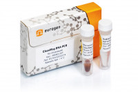 Евроген Набор для очистки ДНК из реакционных смесей CleanMag DNA PCR, 500 реакций, Россия
