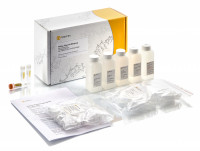 Евроген Набор для выделения плазмидной ДНК Plasmid Miniprep, на 50 выделений, Россия