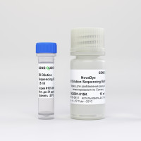 GENEQUEST Буфер для секвенирования по Сэнгеру 5X Dilution Sequencing Buffer, 15 мл, Россия