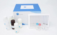 FineTest Набор для ИФА Mouse ADP/Acrp30(Adiponectin) ELISA Kit, 96 реакций, Китай