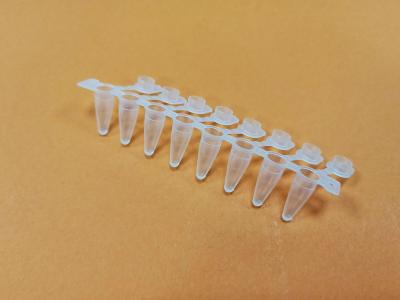 BIOplastics Пробирки объемом 0,1 (0,2) мл, плоская крышка, низкий профиль, бесцветные, ультрапрозрач