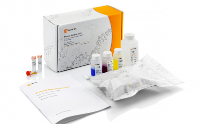Евроген Набор для выделения плазмидной ДНК Plasmid Miniprep Color, 50 реакций, Россия