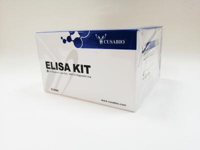 Cusabio ИФА Набор Guinea pig interleukin 4,IL-4 ELISA Kit, 96 тестов