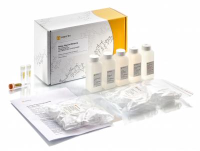 Евроген Набор для выделения плазмидной ДНК Plasmid Miniprep, на 250 выделений, Россия