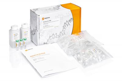 Евроген Набор Cleanup St PCR для очистки ДНК из реакционных смесей, 250 реакций, Россия