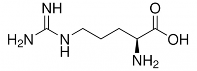 Sigma-Aldrich L-аргинин (L-Arginin) для культур клеток, meets EP, USP, 98,5–101,0 %, 25 г, США