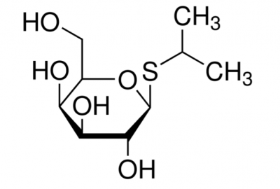 ИПТГ (Molecular Biology Grade), 20 г