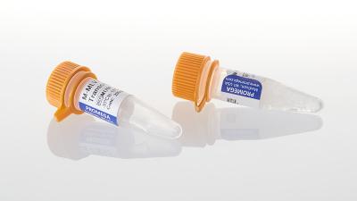 Promega M-MLV Обратная транскриптаза (200 е.а./мкл), 50 000 е.а.